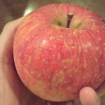 渋沢さんのリンゴ