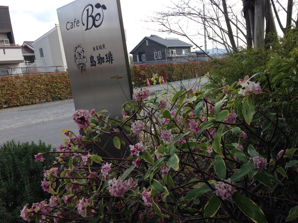 沈丁花の香りと14周年 焙煎アーティスト 島規之のブログ