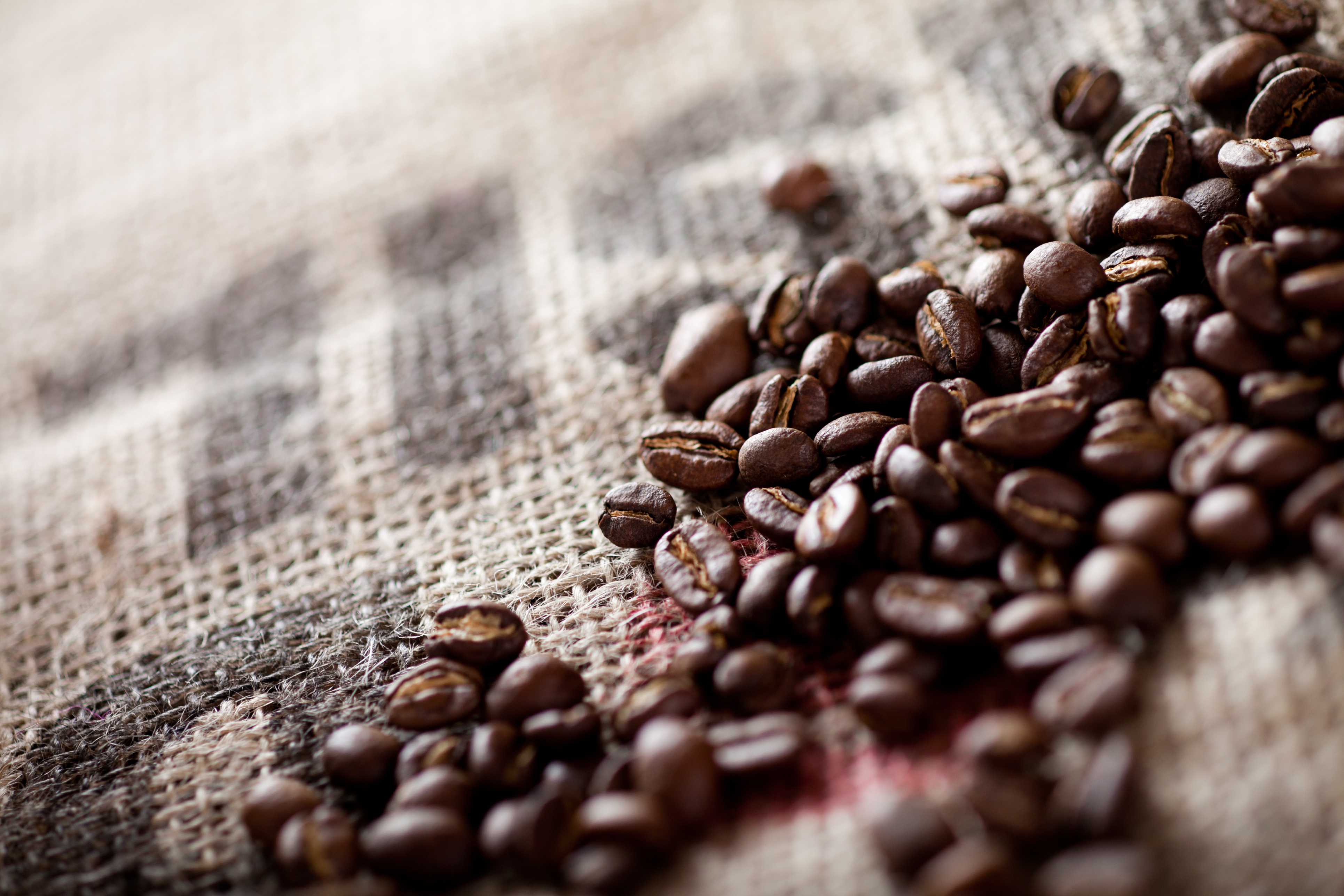 コーヒー豆はぱくぱく食べられるのか 焙煎アーティスト 島規之のブログ